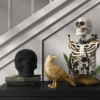 16.5" Plastic Skeleton Bust Halloween Decorative Prop - Hyde And EEK! Boutique™ -Hyde and EEK Shop GUEST 2b2bd4e4 3117 48fd ae69 3f01213f188c