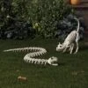 44" Snake Skeleton Halloween Decorative Prop - Hyde And EEK! Boutique™: Indoor/Outdoor Use -Hyde and EEK Shop GUEST 6e5cb502 2804 4b56 b733 898df2b6117b