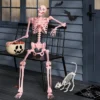 60" Poseable Skeleton Halloween Decorative Prop Blush Pink - Hyde And EEK! Boutique™ -Hyde and EEK Shop GUEST 7ef500c0 bf7c 4d65 ad7f 817082968f5d