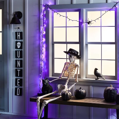 100ct LED Smooth Halloween Mini String Lights Purple - Hyde And EEK! Boutique™: Indoor/Outdoor, UL Listed, 21ft 3 100ct LED Smooth Halloween Mini String Lights Purple - Hyde And EEK! Boutique™: Indoor/Outdoor, UL Listed, 21ft
